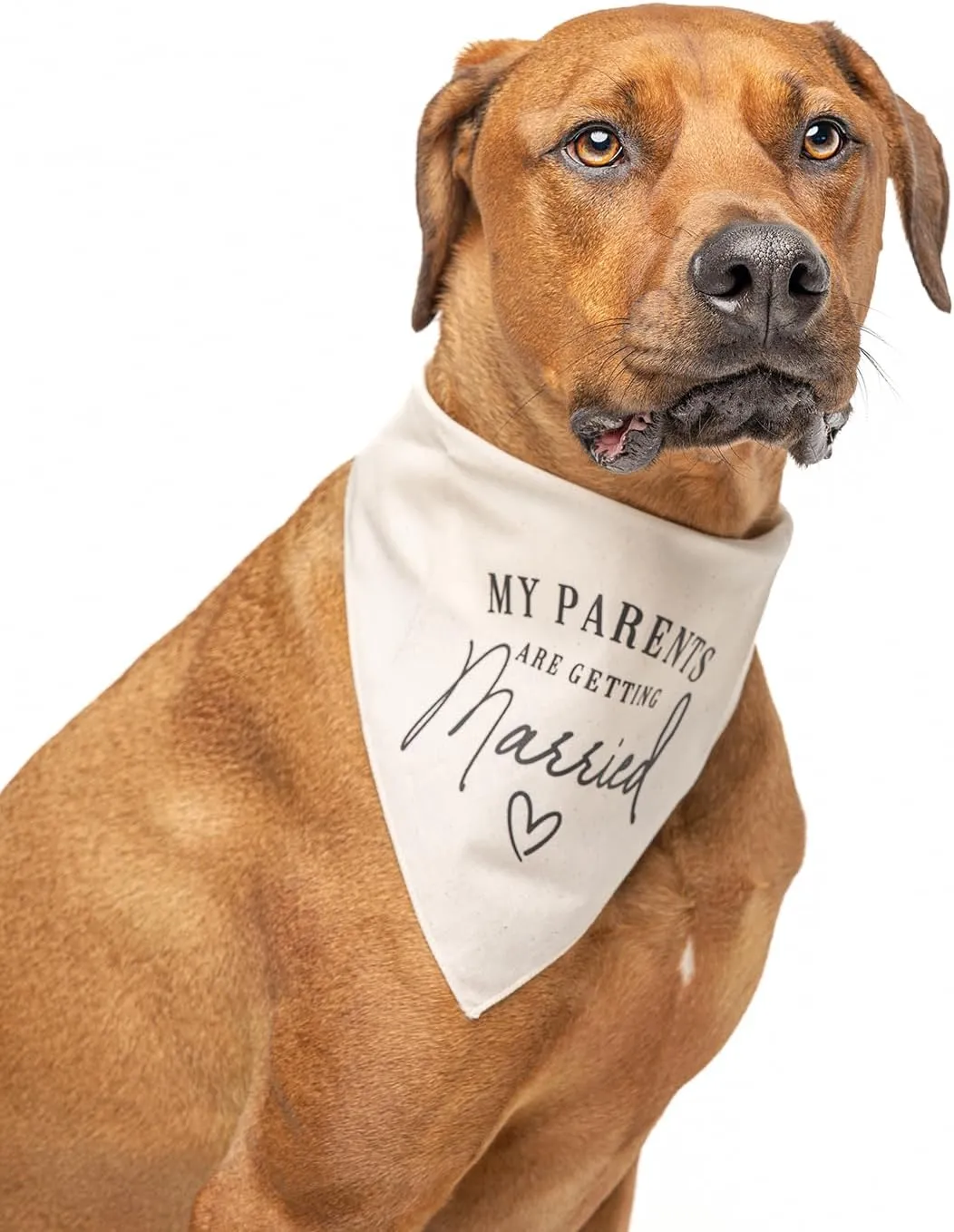 My Parents are Getting Married | 100% Unbleached Cotton Adjustable Triangle | Engagement Announcement Photoshoot Prop | Bridal Shower Gift | Made in USA | Natural One Size (648) GB